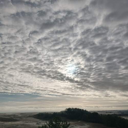 Photo #11981418