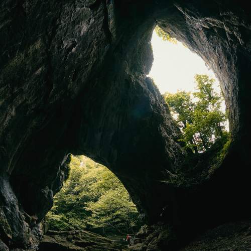 Photo #11981606