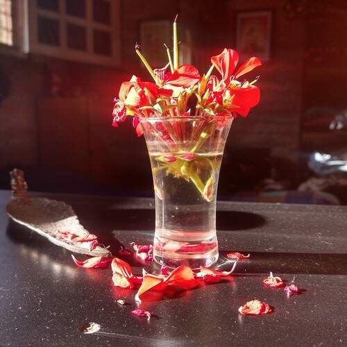 Photo #11981692
