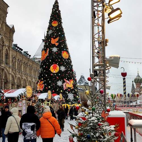 Photo #11981738