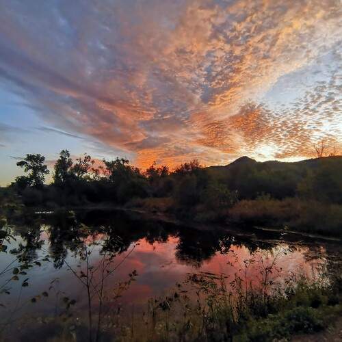 Photo #11982072