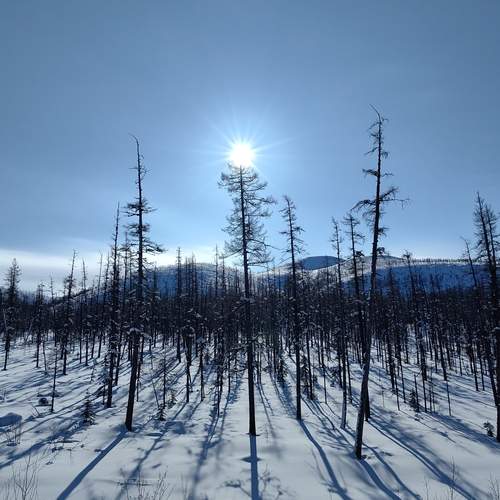 Photo #11982238