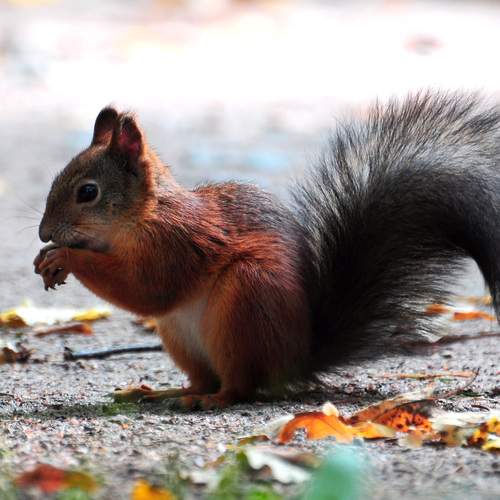Photo #11982302