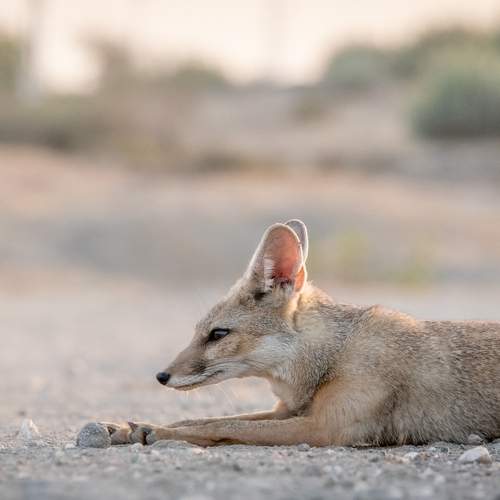 Photo #11982400