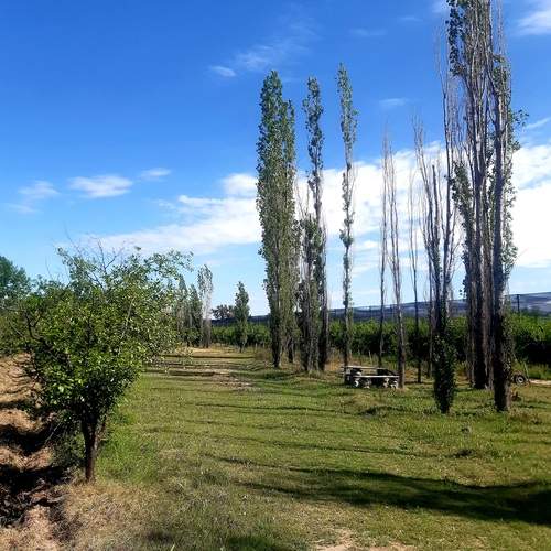 Photo #11982450