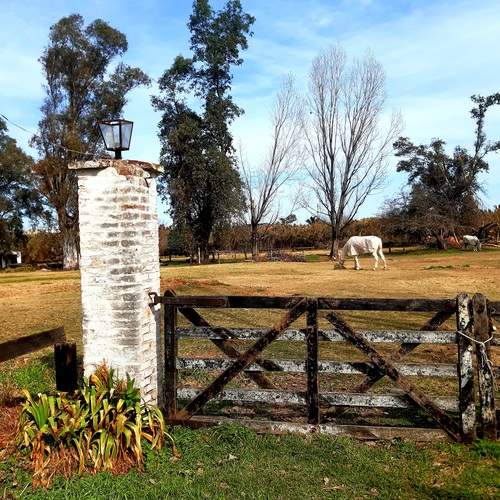Photo #11982461