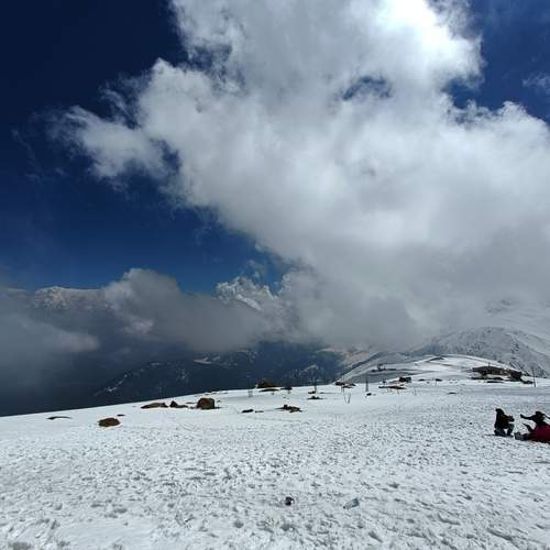 Photo #11982553