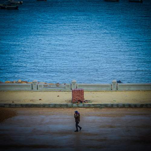 Photo #11982599
