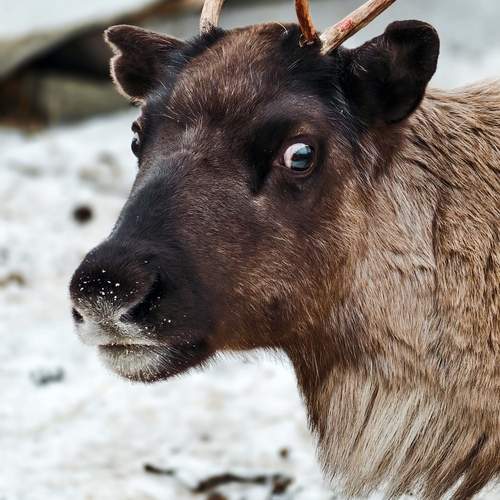 Photo #11982641