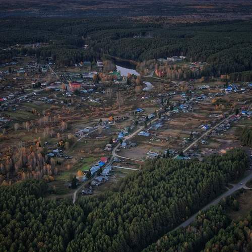 Photo #11982652