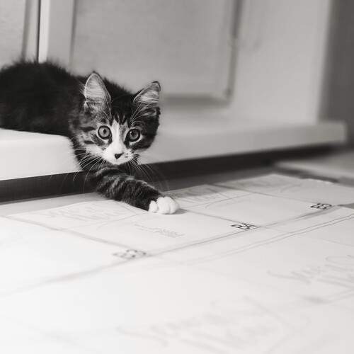 Photo #11982745