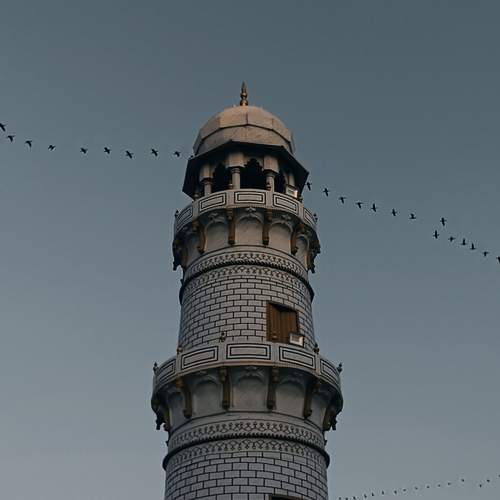 Photo #11982826