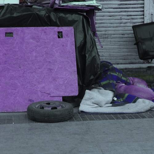 Sobreviviendo