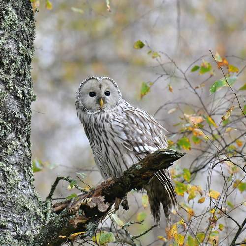 Photo #11983125