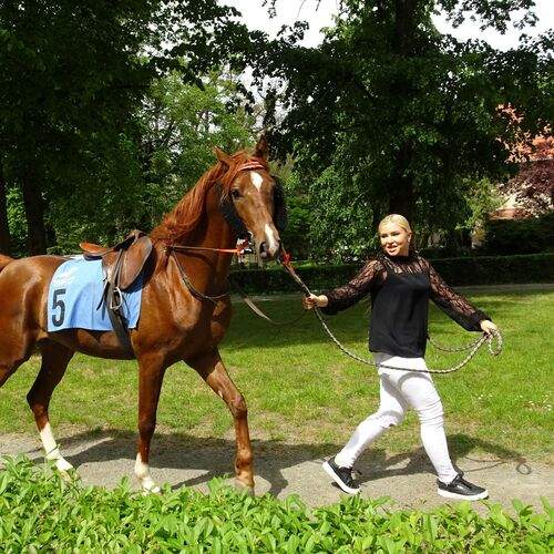 Photo #11983171