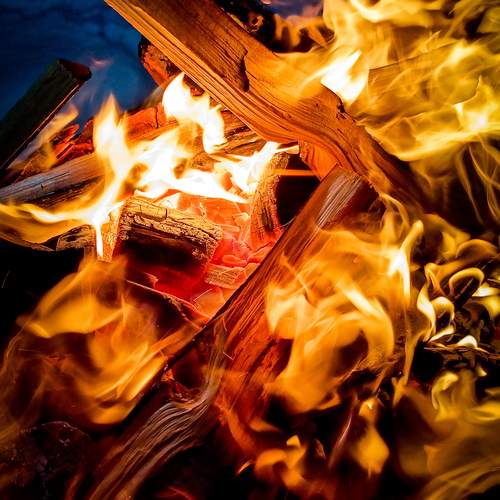 Photo #11983180