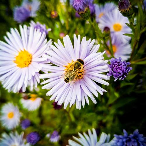 Photo #11983266