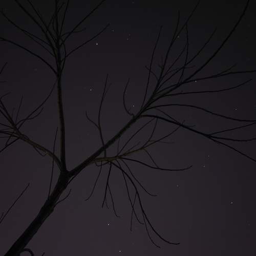 Photo #11983469