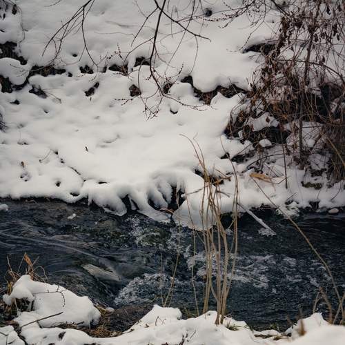 Photo #11983495