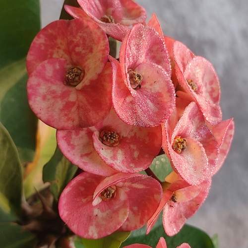 Photo #11983609