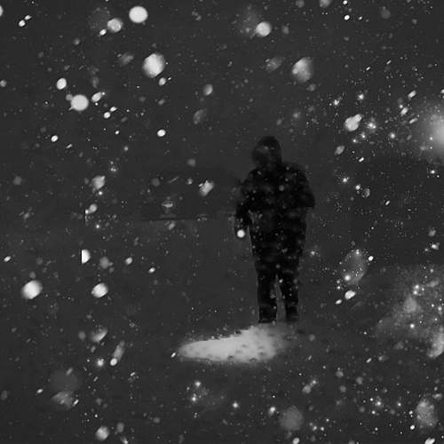 Photo #11983740