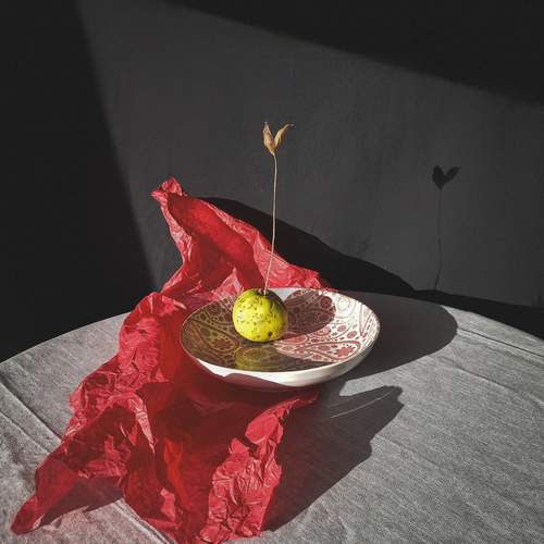 Photo #11983760