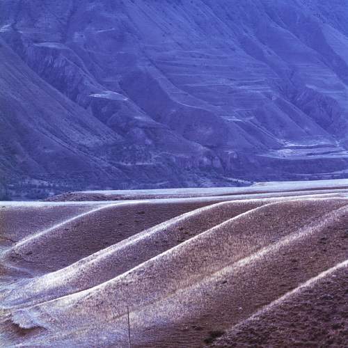 Photo #11984042