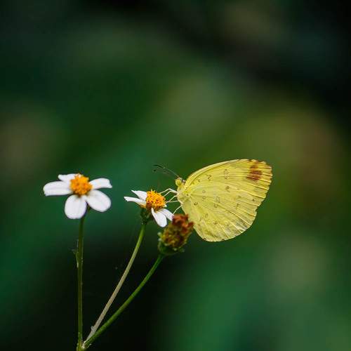 Photo #11984061