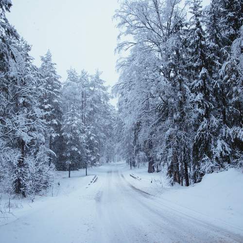Photo #11984208