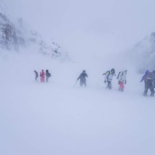 Photo #11984305