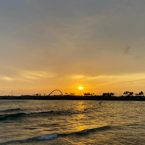 Photo #11984546