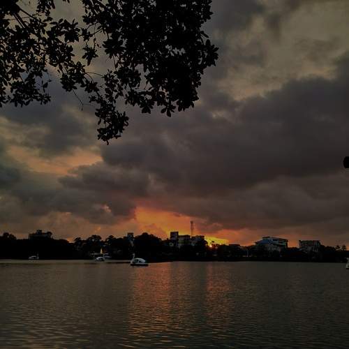 Photo #11984547