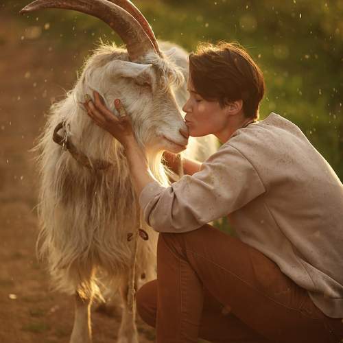 Фотография #11984644