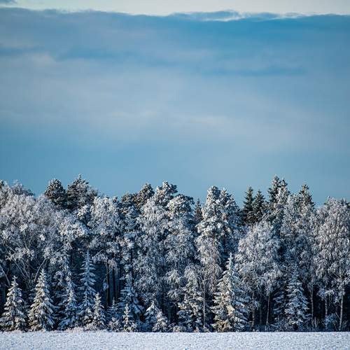Photo #11984792