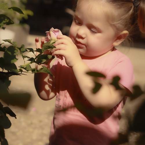 Photo #11984822