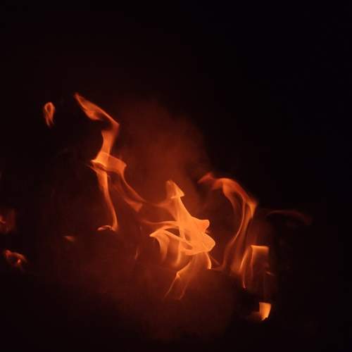 Photo #11984949