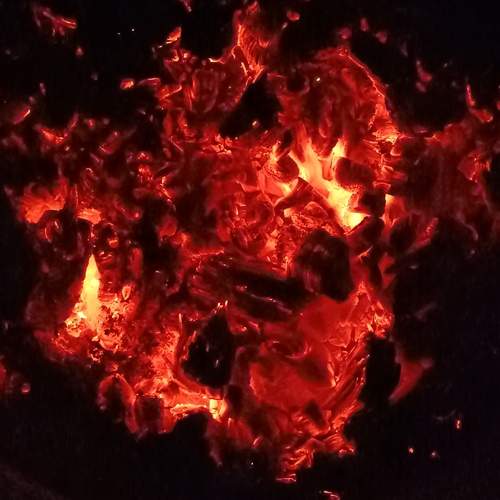 Photo #11984983