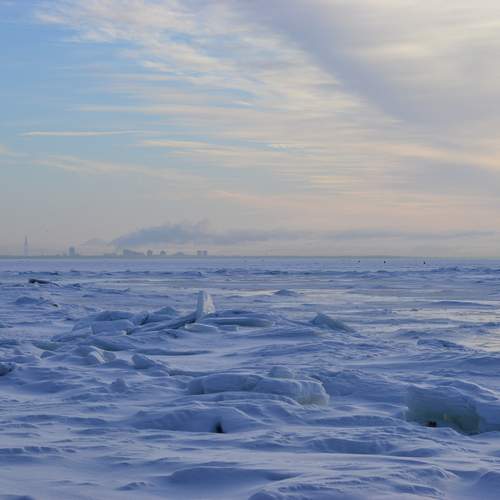 Photo #11985062