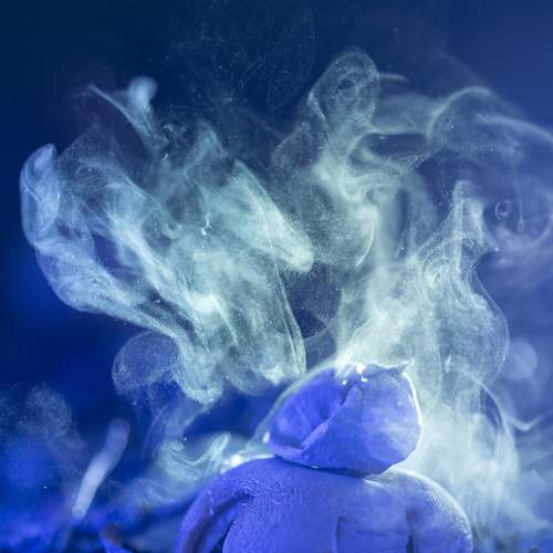 Photo #11985147