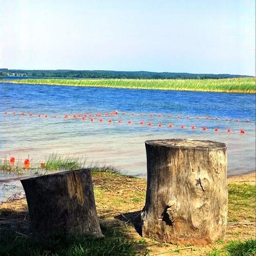 Photo #11985151