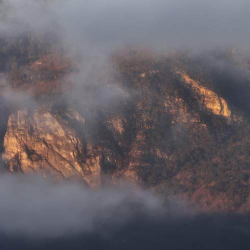 Photo #11985188