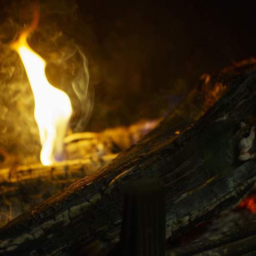 Photo #11985241