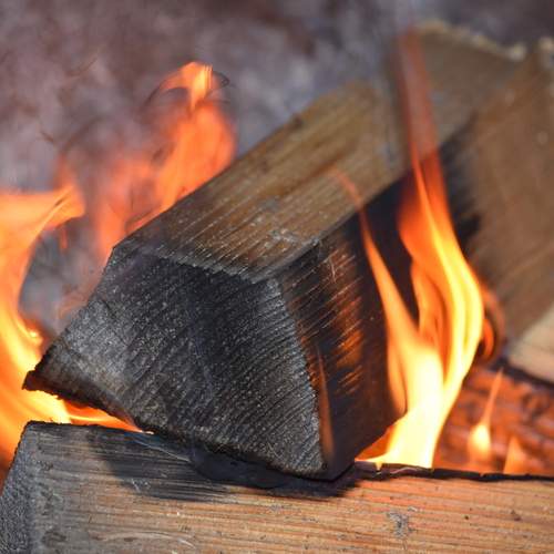 Photo #11985324