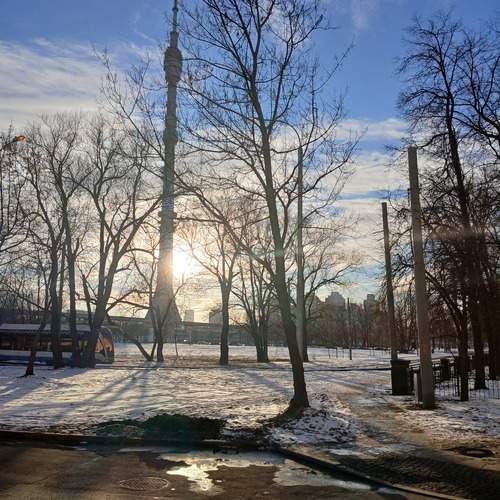 Photo #11985695