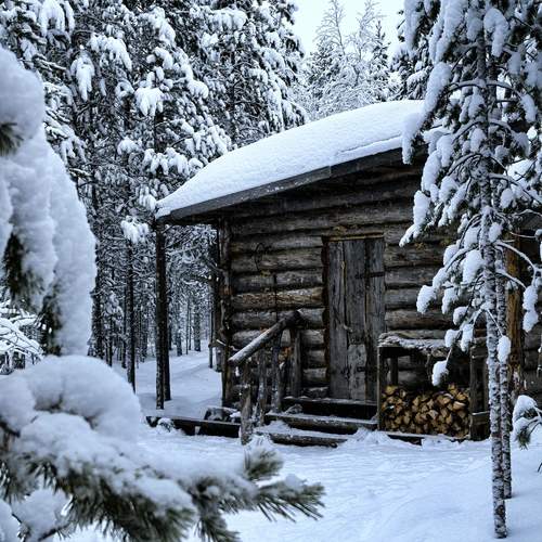 Photo #11985897