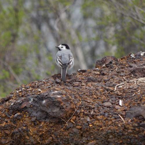Photo #11986006