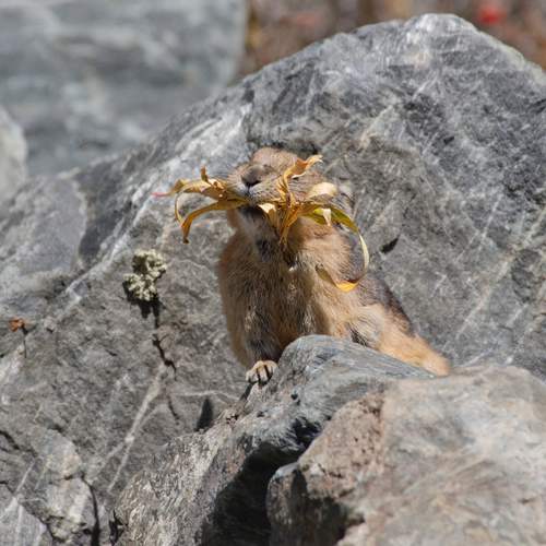 Фотография #11986048