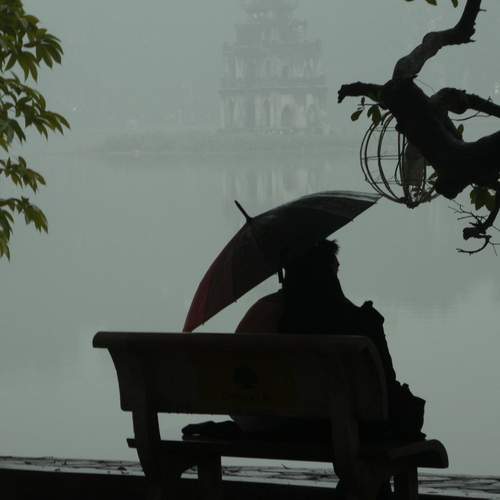 Photo #11986061
