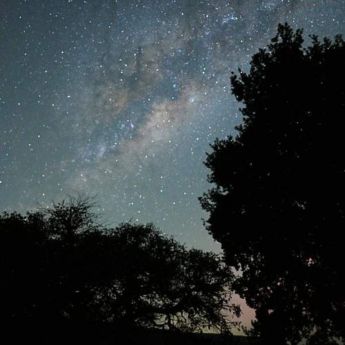 Photo #11986111