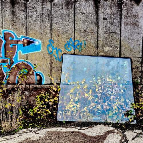 Photo #11986137
